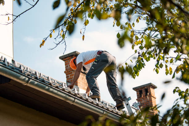 Quick and Trustworthy Emergency Roof Repair Services in Bellingham, WA