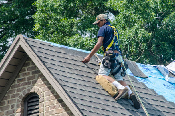 Best Shingle Roofing Installation  in Bellingham, WA